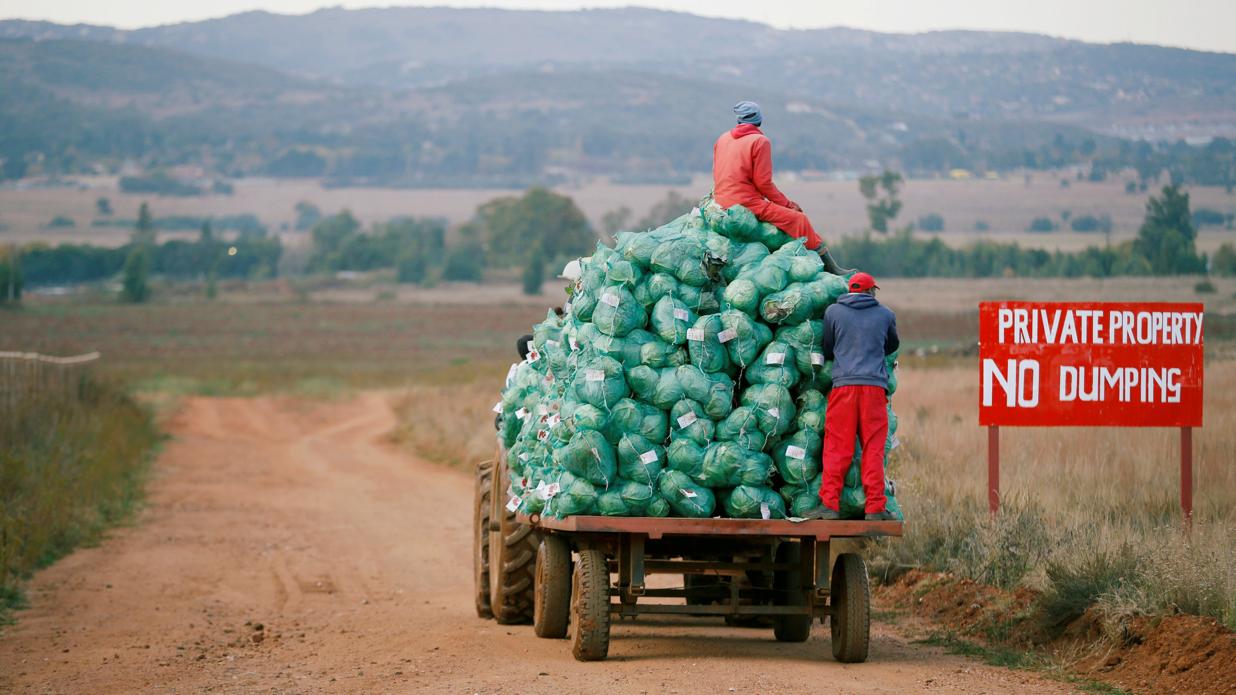 Trabajadores de una granja en Eikenhof, cerca de Johannesburg