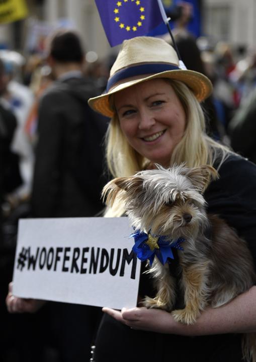 Cientos de perros se manifiestan en Londres contra el Brexit