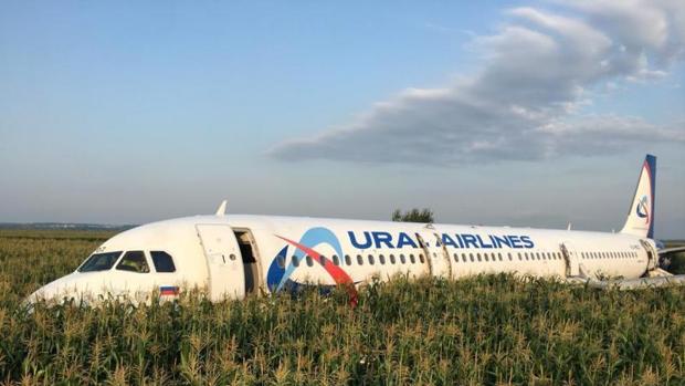 Una bandada de pájaros provoca el aterrizaje de emergencia en Moscú de un avión con 233 pasajeros