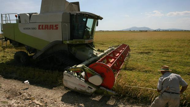 La PAC medioambiental, uno de los retos pendientes de la nueva Comisión