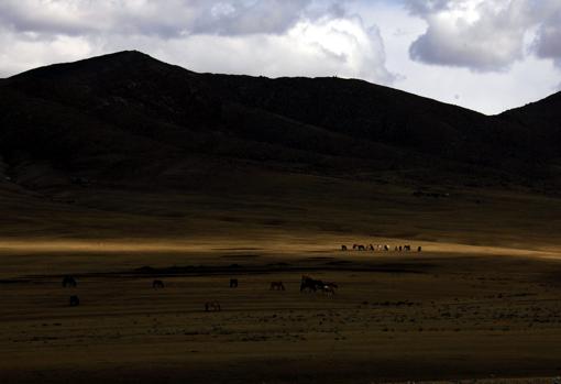 Zigor Aldama, periodista: «Mongolia conquistó China, pero hoy es China la que conquista Mongolia»