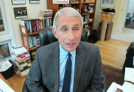 Anthony Fauci, durante su comparecencia por videoconferencia