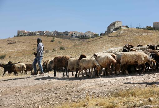 Al fondo se puede ver Maale Adumim uno de los asentamientos que serán anexionado
