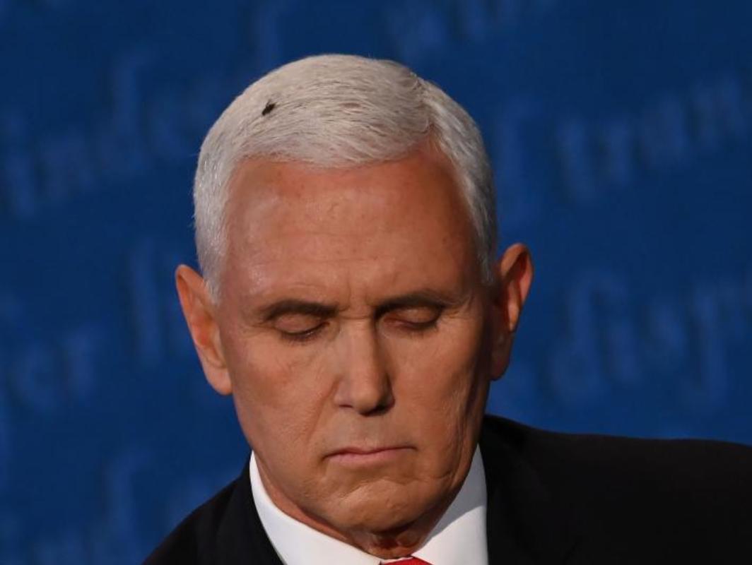 Una mosca se posó en la cabeza de Mike Pence durante el debate