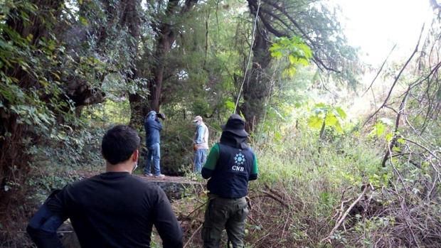 Hallan restos humanos de 59 personas en fosas del estado de Guanajuato