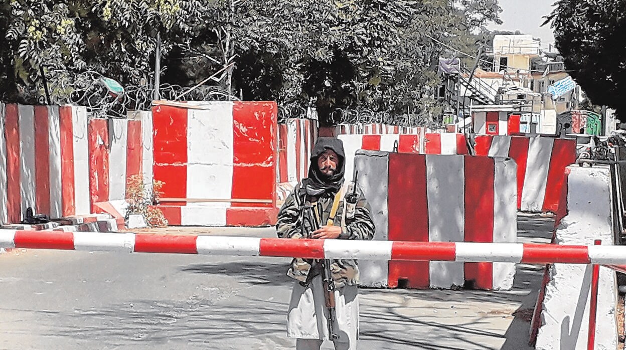 Un militante talibán de guardia en Ghazni, la ciudad más cercana a Kabul