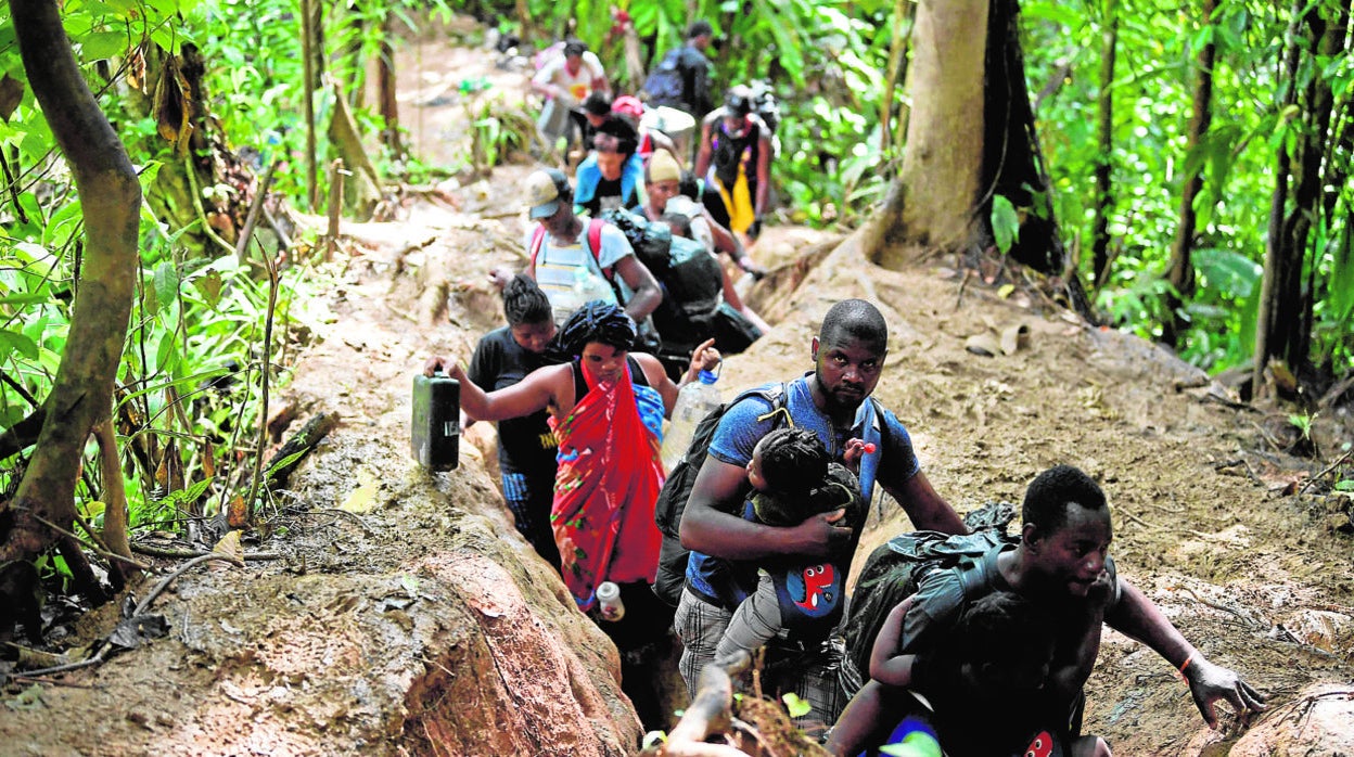 Un grupo de inmigrantes cruza la peligrosa selva de Darién, para intentar llegar a EE.UU.