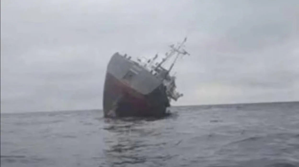 Un carguero estonio se hunde en las costas del sur de Ucrania tras chocar con una mina submarina