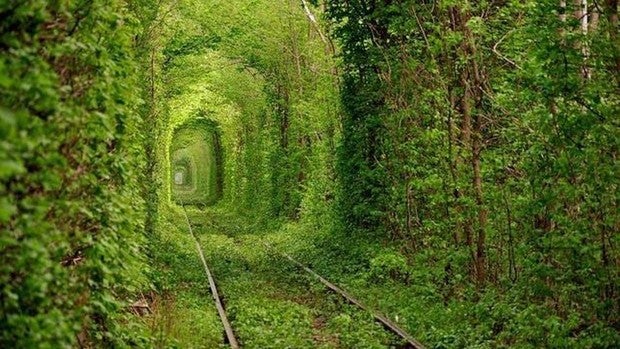 El túnel del amor de Ucrania, una de las maravillas 'naturales' del país en peligro por la guerra