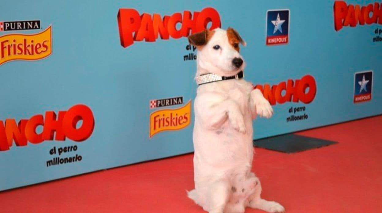 «Pancho», el perro de la lotería, en el estreno de su película