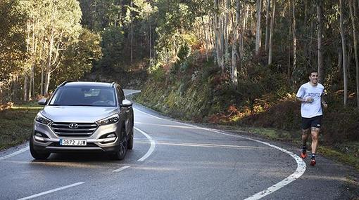 También se encontraron en algún tramo