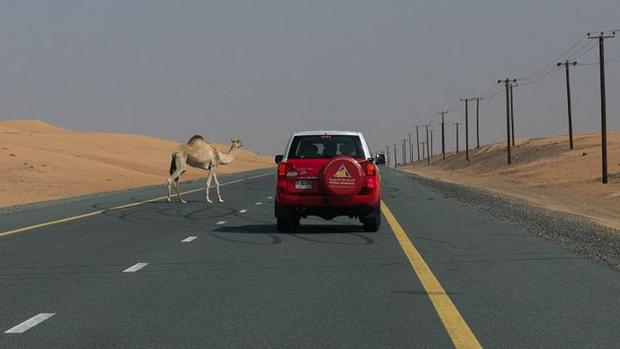 Estas son las excéntricas normas de tráfico que existen en el mundo