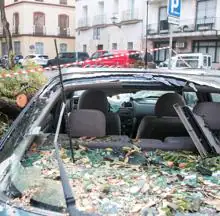 ¿Cubre el seguro del coche los daños provocados por el temporal?