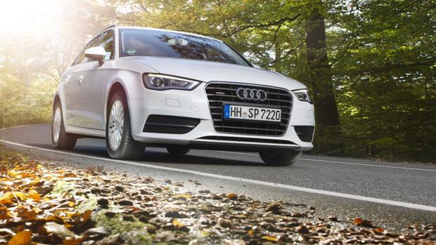 Neumáticos de todo tiempo, para hacer frente al frío, al calor y a las tormentas