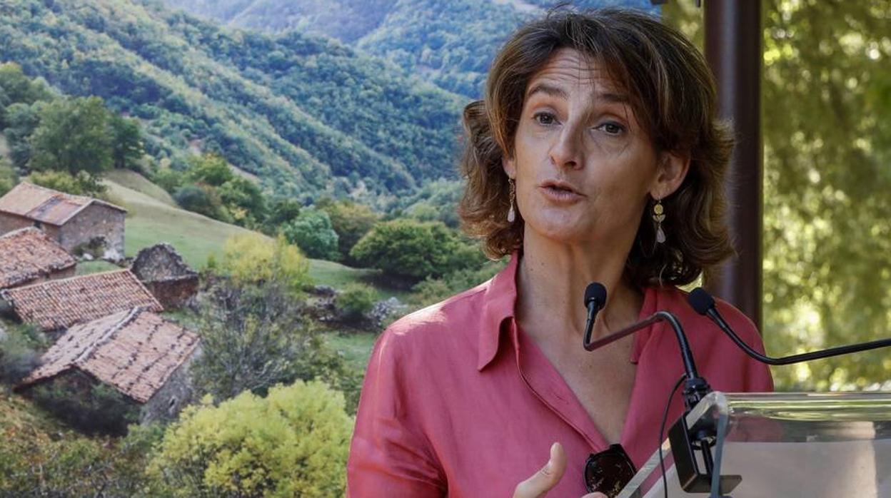 La ministra de Transición Ecológica dice ahora que ella se compraría un híbrido