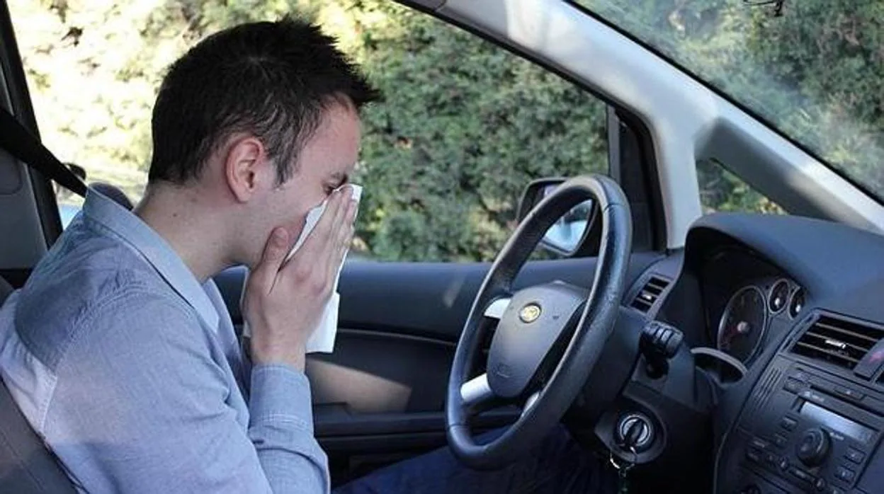 Los riesgos de conducir si tienes alguna alergia