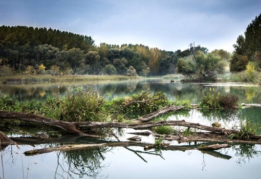Parques naturales a los que ir en autocaravana sin salir de España