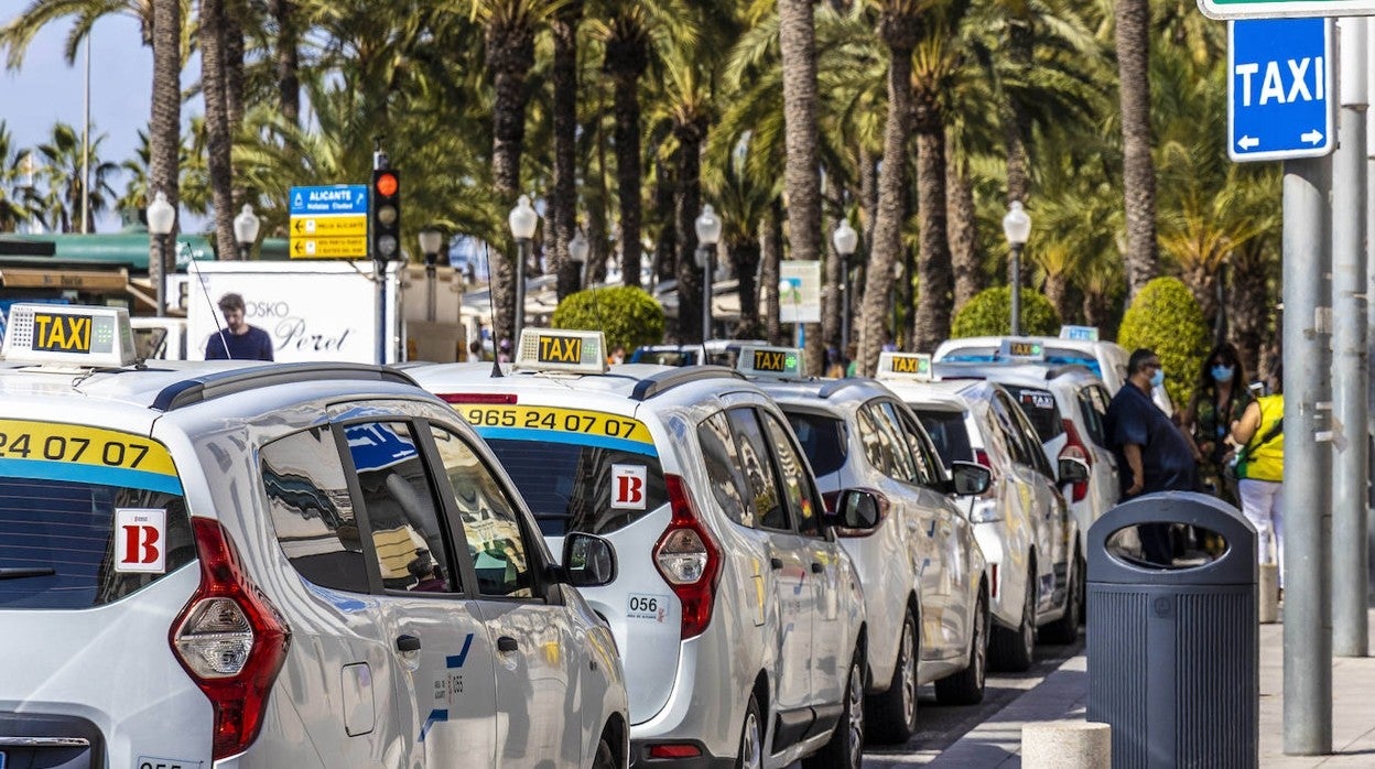 Taxis en una parada de Alicante