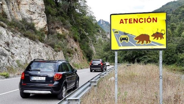 La Guardia Civil recurre a los cerditos para avisar de multas y peligros en la carretera