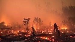 Incendios Indonesia