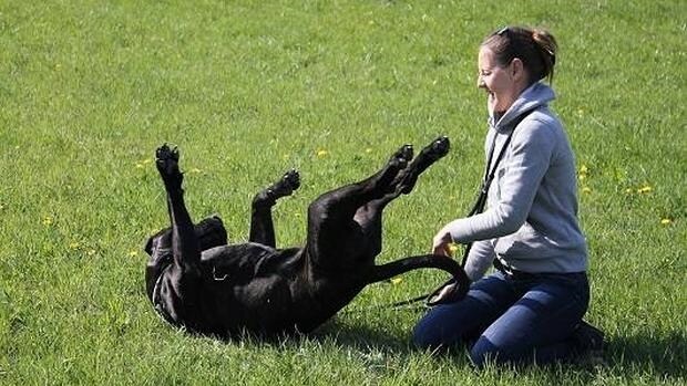 Un chica juega con su perro en el parque