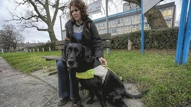 Apuñalan a un perro guía que jugaba en el parque mientras su dueña almorzaba