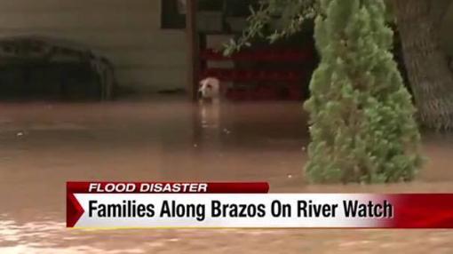 Archer estaba encadenada sin posibilidad de huir de las inundación del río Brazos (Houston)