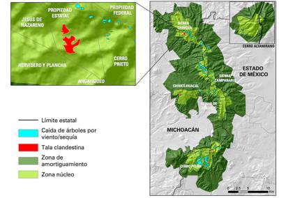 Degradación forestal en la Reserva de la Biosfera Mariposa Monarca 2015-2016