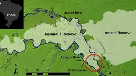 La cuenca del río Amazonas cubre aproximadamente el 40% de América del Sur