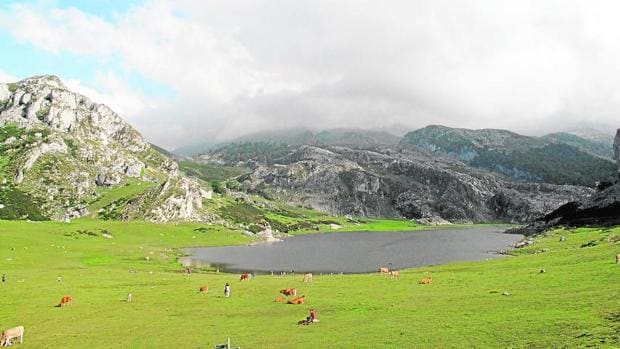 Con la creación del Parque Nacional de Covadonga se inició la «reconquista» de nuestros esquilmados espacios naturales