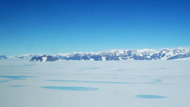 Un equipo de científicos ha analizado núcleos de musgo de la península Antártica