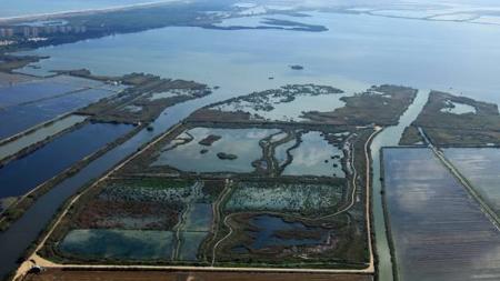 Albufera de Valencia