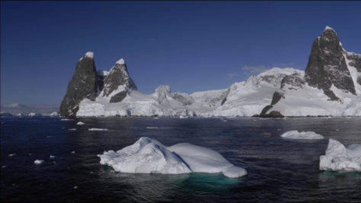 La zona sin hielo representa actualmente un 1 por ciento de la superficie del continente blanco, cuya área total es de unos 14 millones de kilómetros cuadrados y es el lugar donde se concentra casi toda su fauna y flora