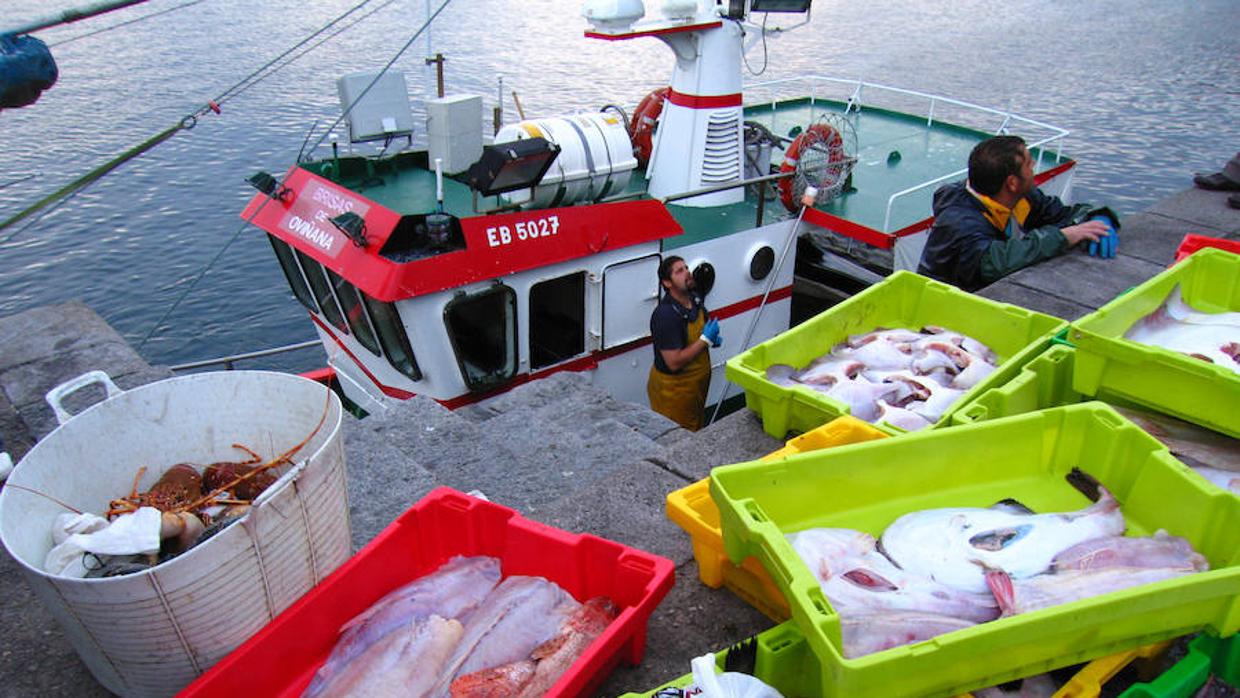 Tras casi dos años de negociaciones, la UE ha aprobado el nuevo reglamento de su flota pesquera exterior