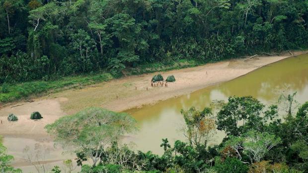 Las ONG temen la deforestación del «pulmón del planeta»