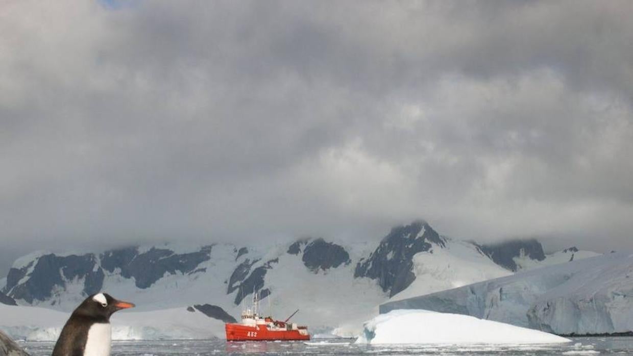 La península Antártica Occidental se sitúa a unos 6.000 kilómetros del lado opuesto del continente blanco