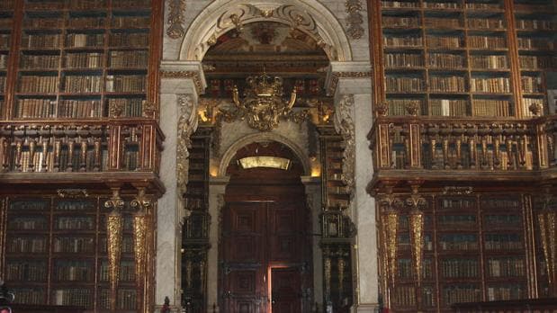 La colonia de murciélagos de la Biblioteca de Coimbra está integrada por ejemplares de dos especies