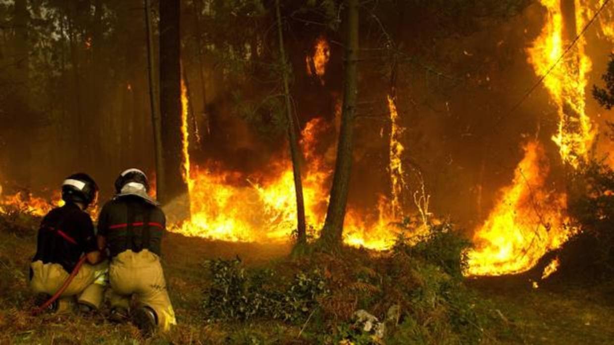 La última memoria de la Fiscalía de Medio Ambiente constataba el aumento de los incendios intencionados frente a los fuegos provocados por pirómanos