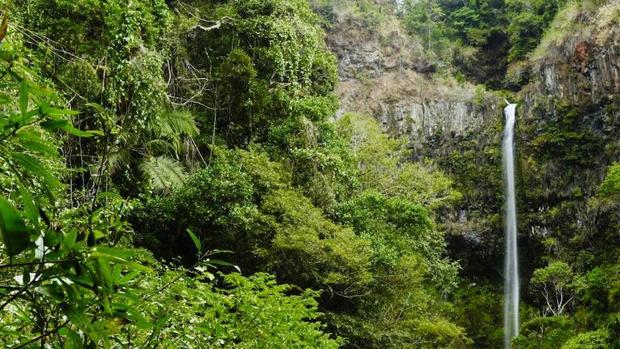 Los fondos pactados en la Cumbre de Río de 1992 frenaron la disminución de la biodiversidad un 29%