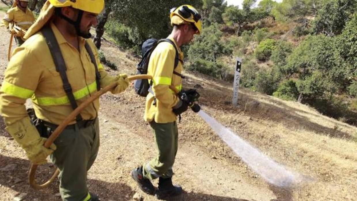 El Gobierno portugués prohíbe replantar con eucalipto zonas ardidas en incendios forestales que antes ocupaban otras especies arbóreas