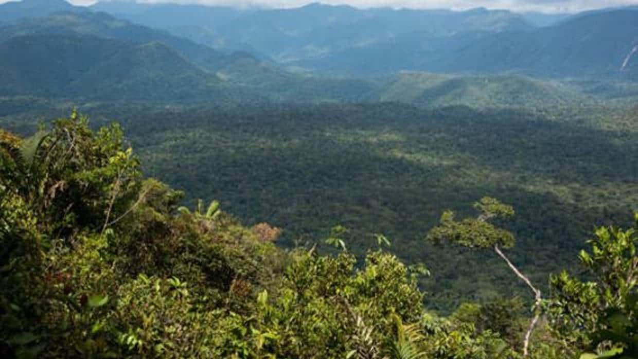 Los bosques inundados del Amazonas emiten tanto metano como todos los océanos del mundo