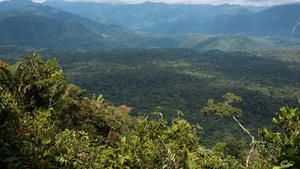 Los bosques inundados del Amazonas emiten tanto metano como todos los océanos del mundo