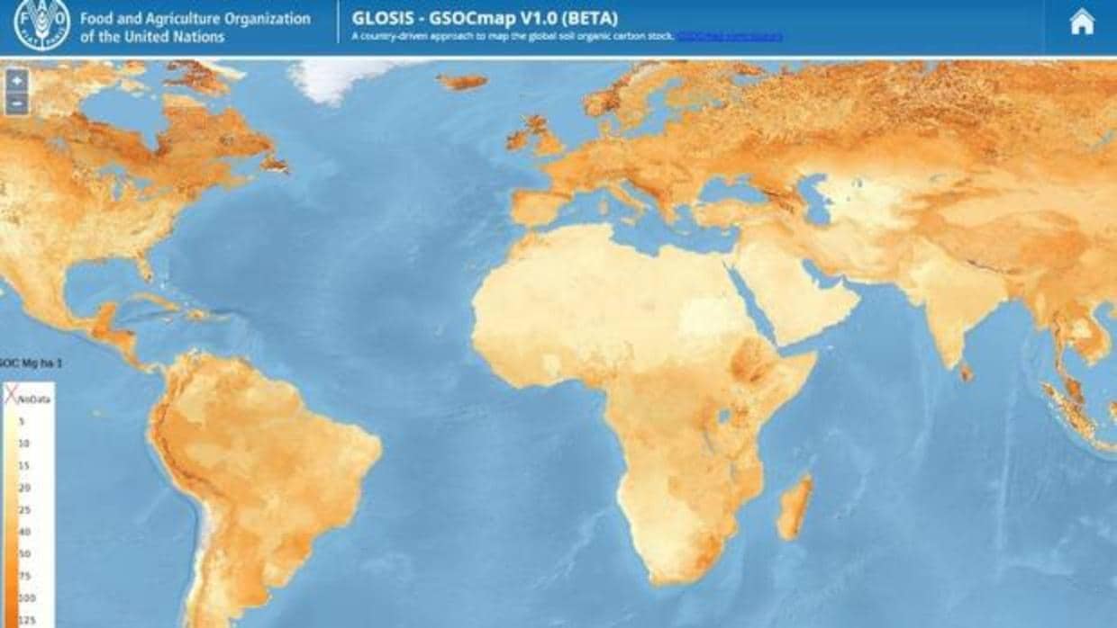 Elaboran un Mapa Mundial de Carbono Orgánico del Suelo