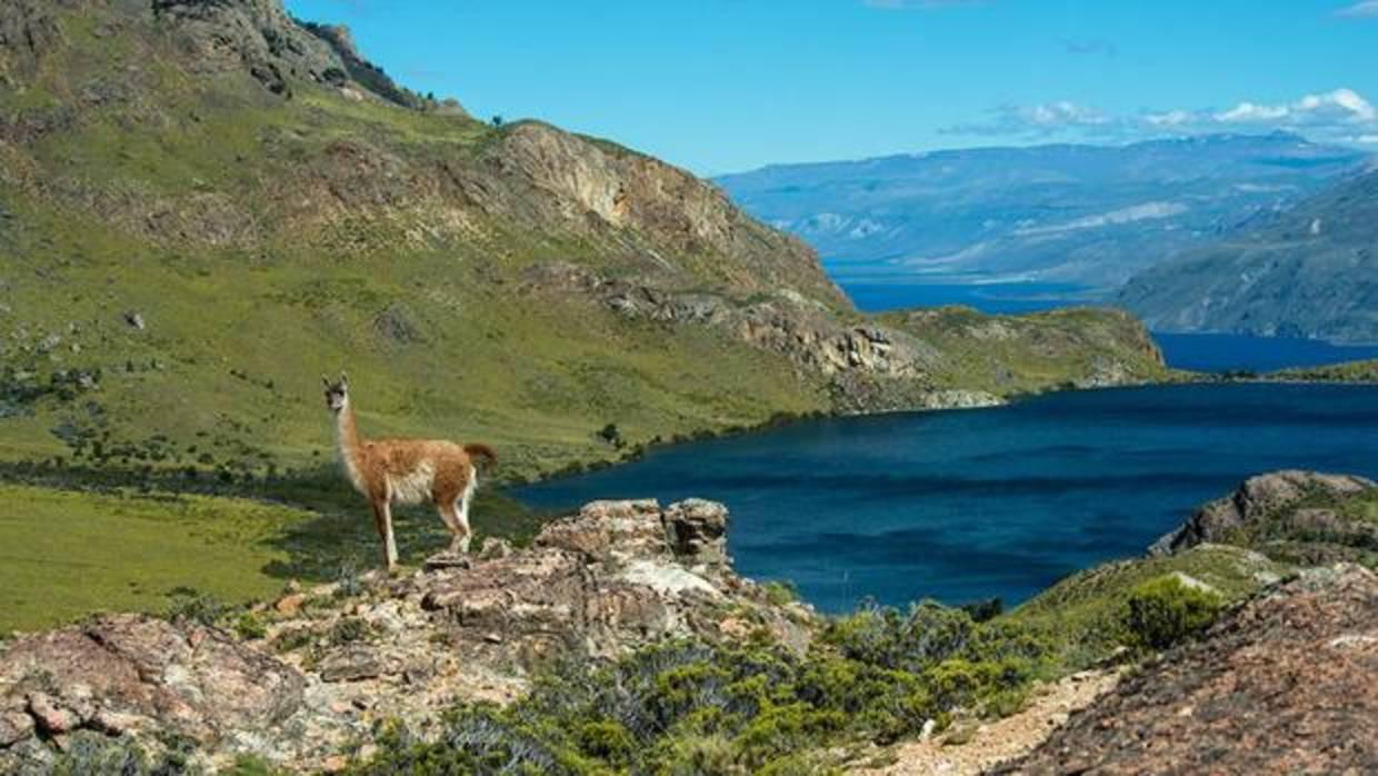 Chile crea una red de parques de 4,5 millones de hectáreas en la Patagonia