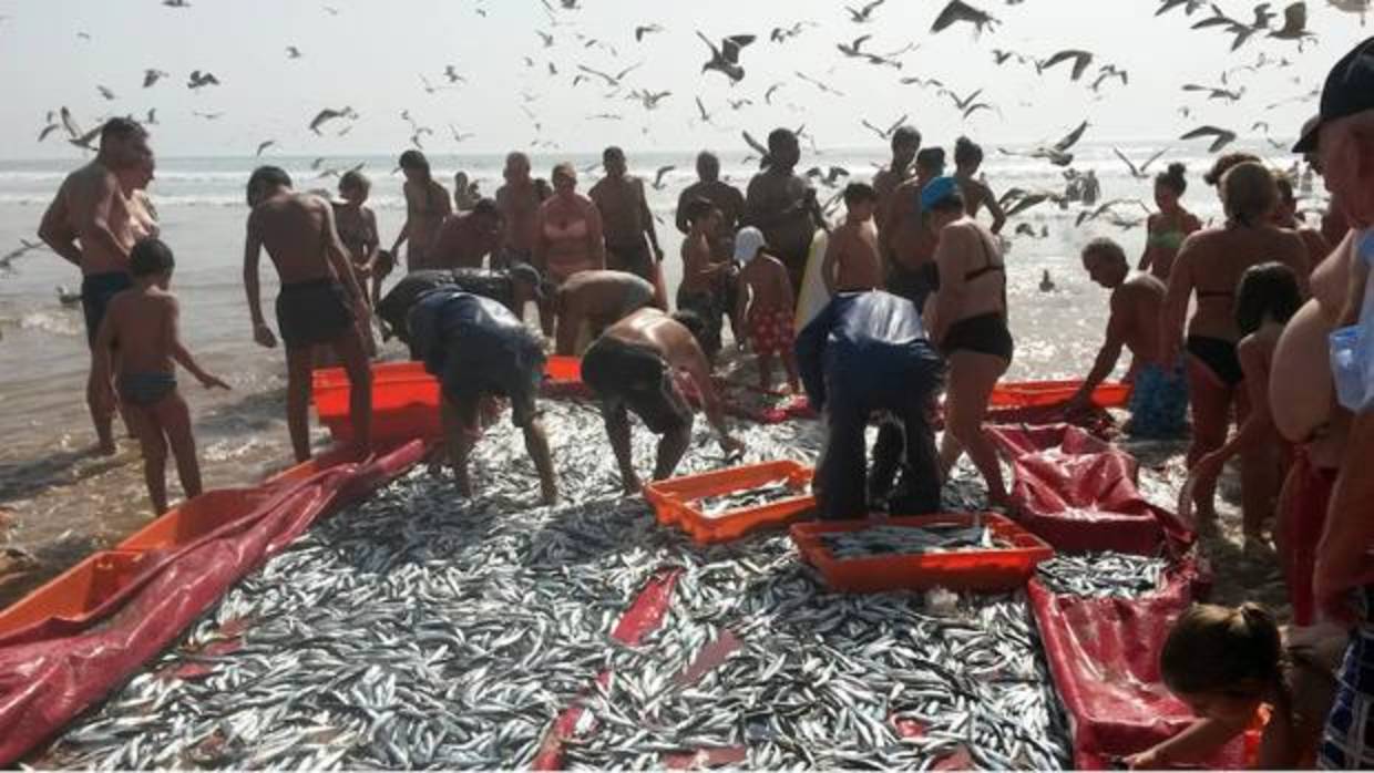 Más de la mitad de los océanos del mundo están expuestos a la pesca comercial