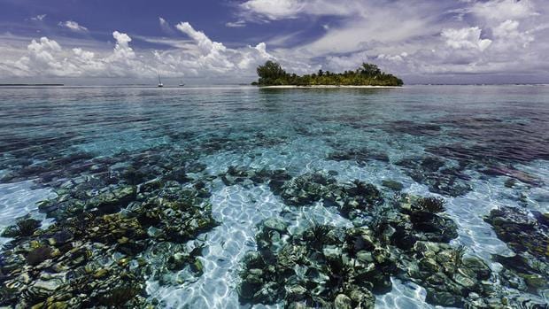 El cambio radical que ha experimentado la Barrera del Arrecife de Belice en solo 18 meses