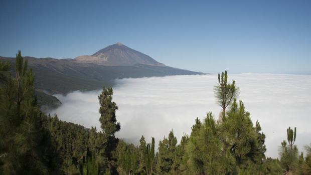 Los incendios forestales son la principal amenaza de los Parques Nacionales