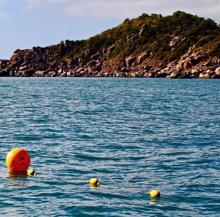 Línea de palangre situada en el Parque Marino de la Gran Barrera de Coral australiana