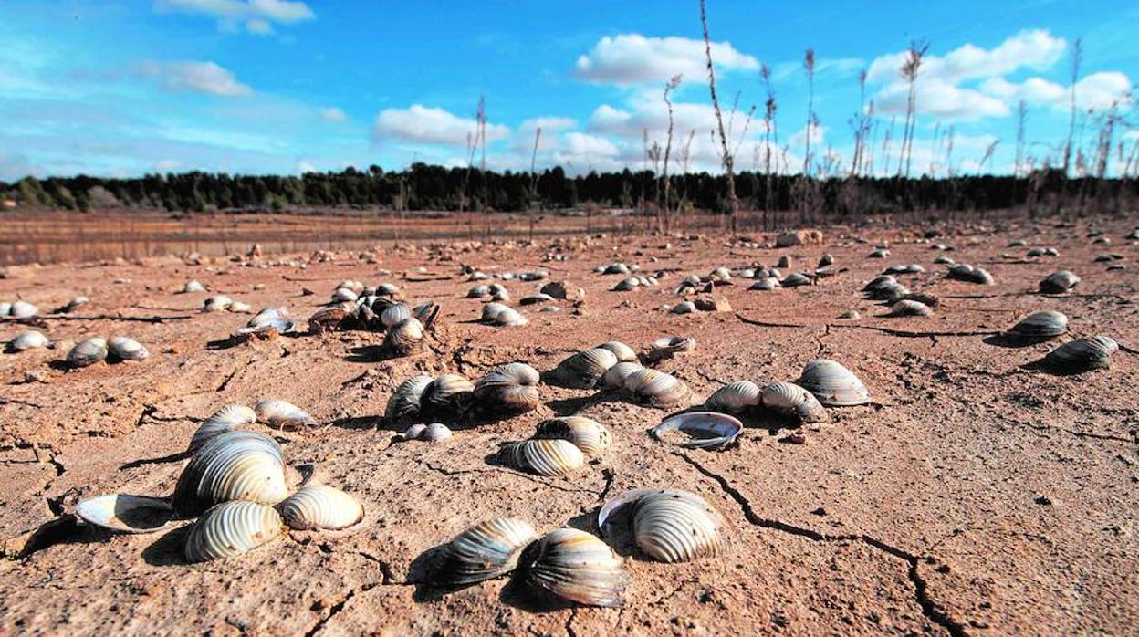 Esto es lo que les espera a los países mediterráneos si no gestionen bien el cambio climático