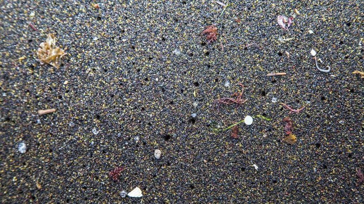 Los microplásticos llegan a la costa cargados con hasta 81 contaminantes